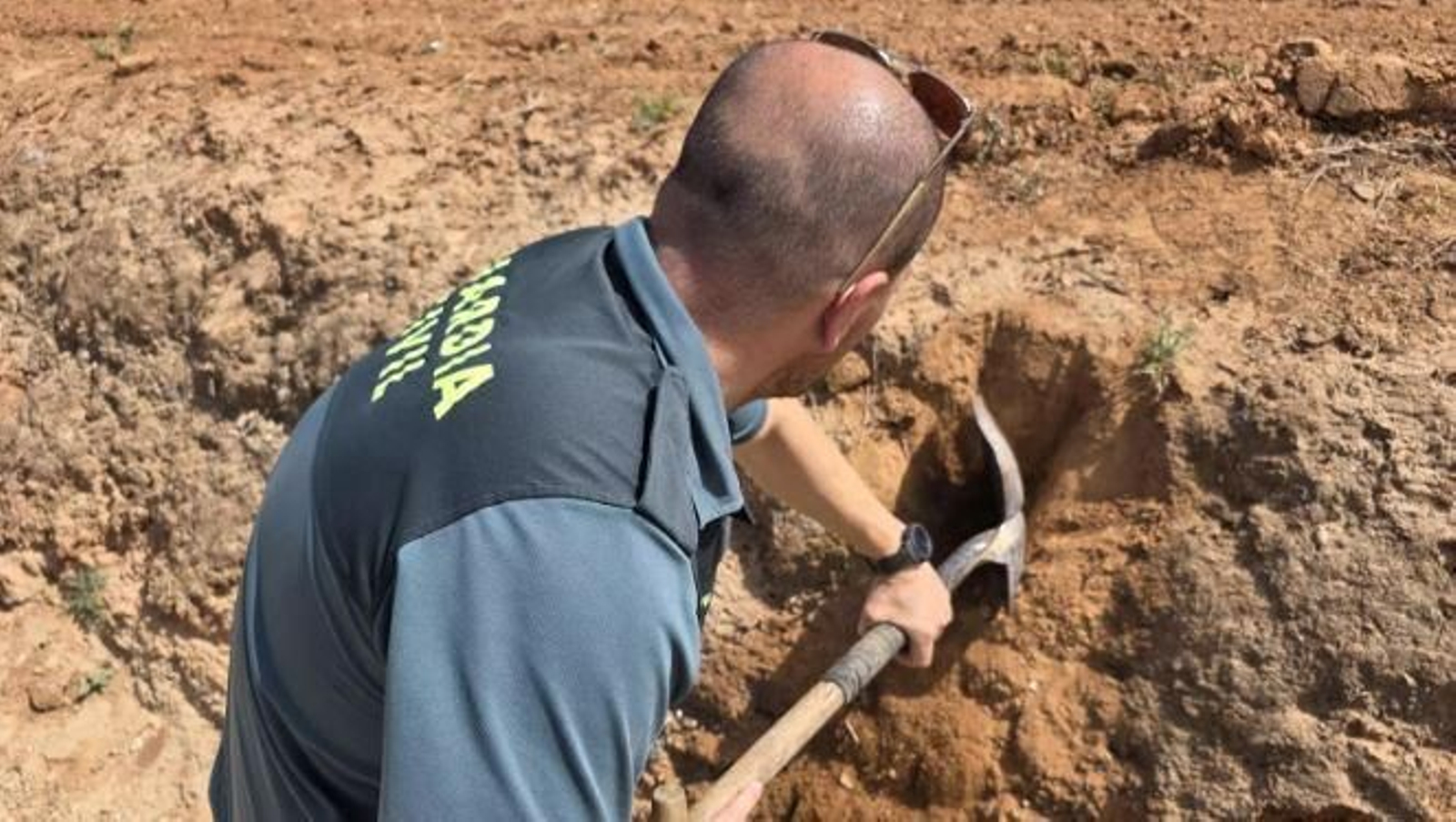 Un agente del Seprona intenta auxiliar a las aves atrapadas.