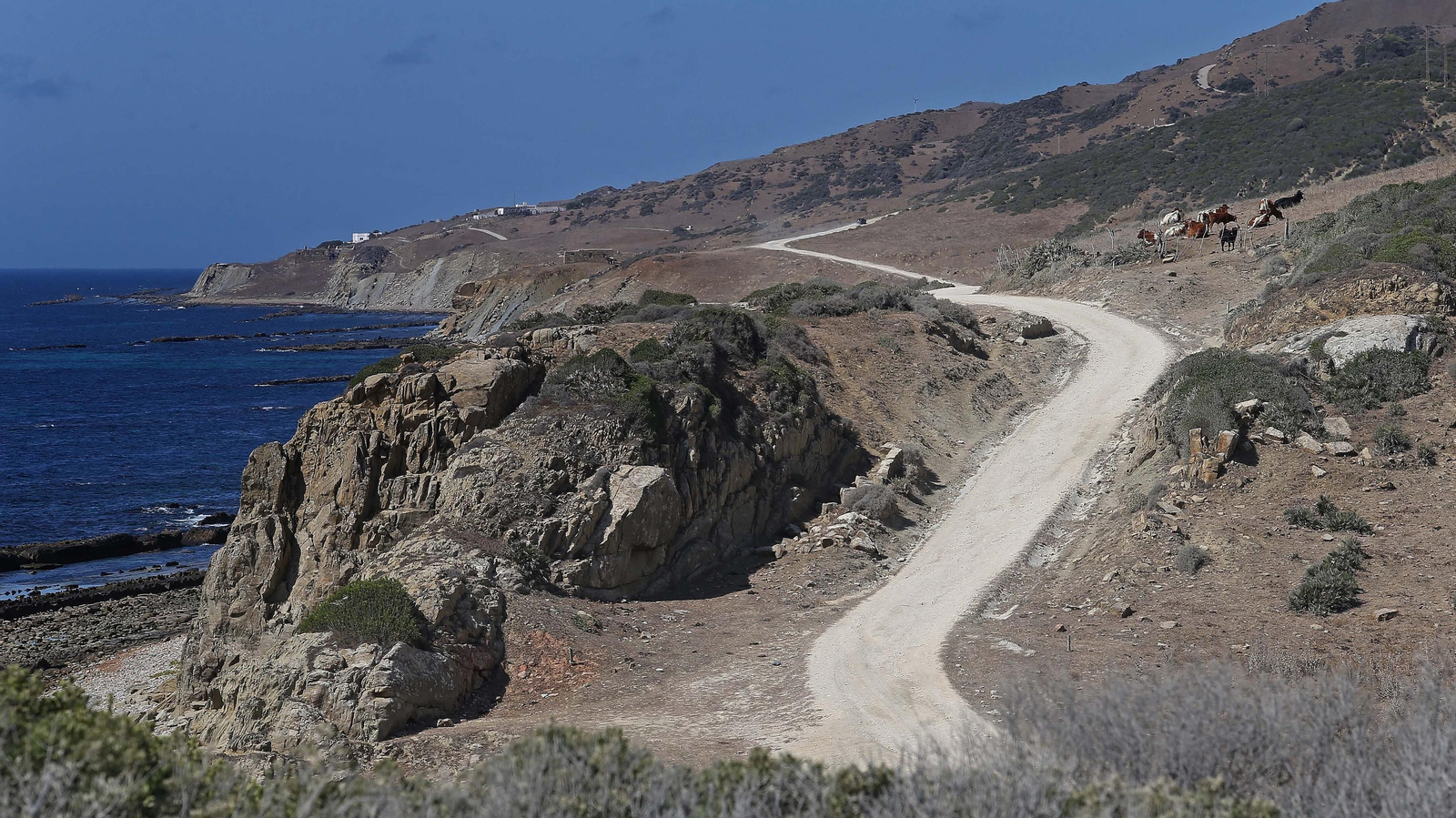 Las mejores fotos del sendero de la Colada de la Costa en Tarifa
