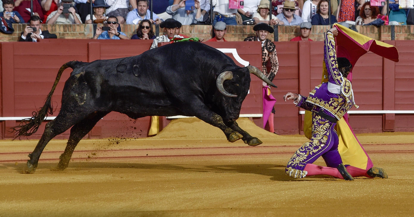 Las imágenes de la 14ª de abono de la Maestranza