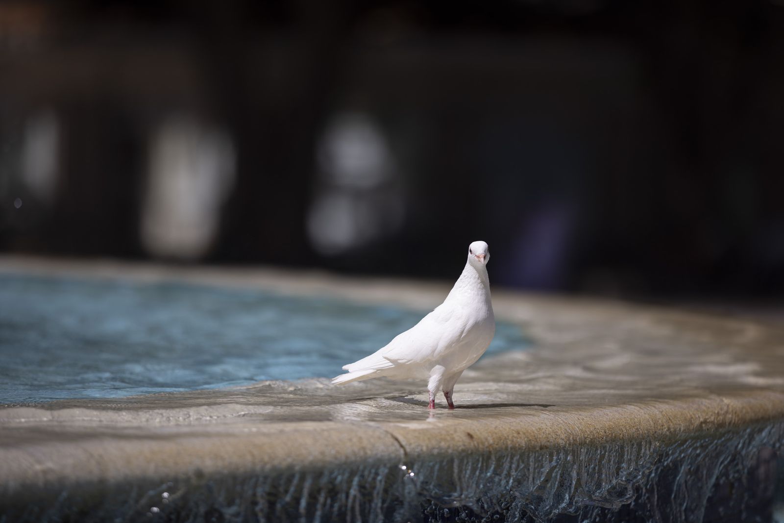 Imágenes del jueves 8 de septiembre en Huelva