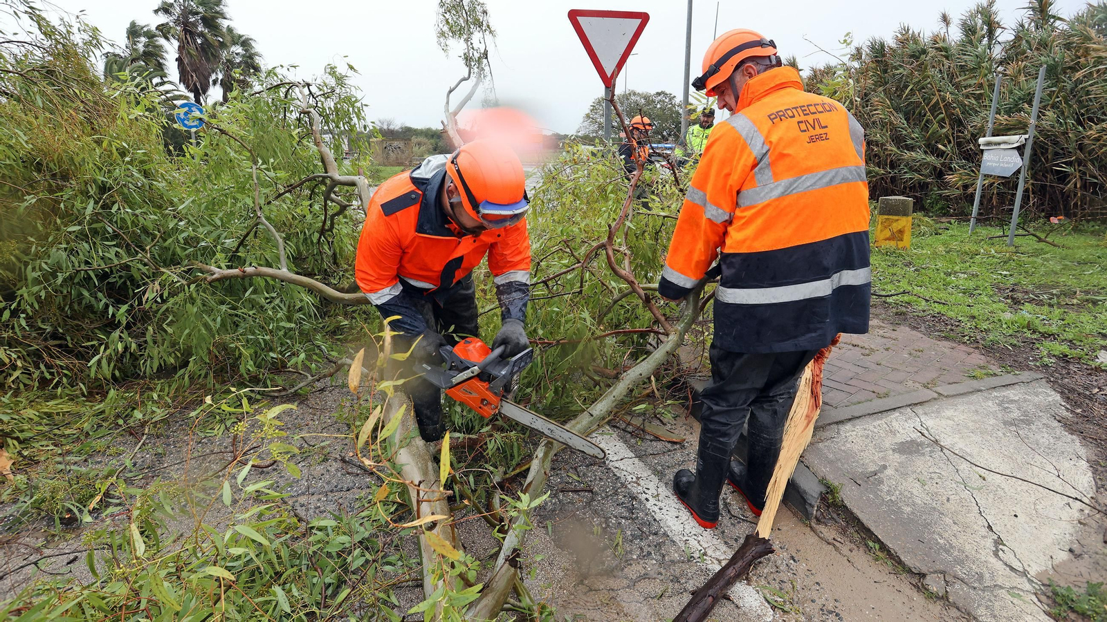 Imágenes del temporal de viento y lluvia en Jerez