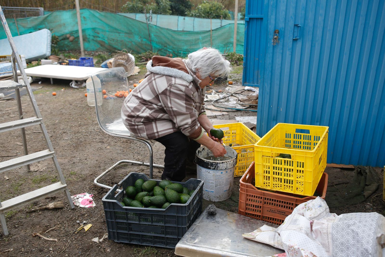 Fotos de las consecuencias de la borrasca Francis en Tesorillo y Jimena