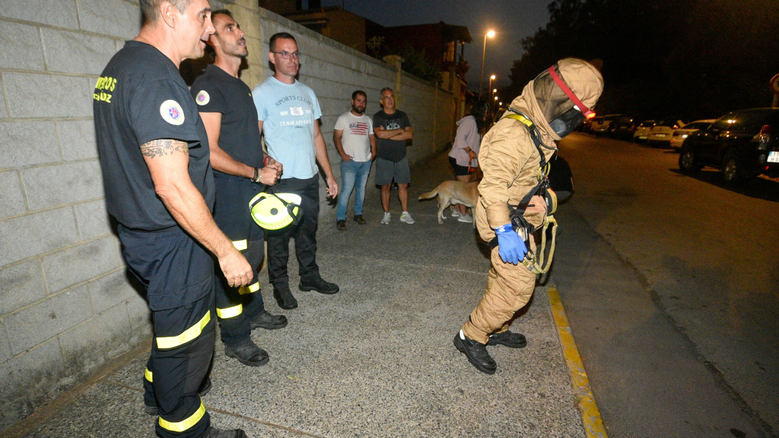 Las fotos de la retirada de un avispero asiático en Los Cortijillos