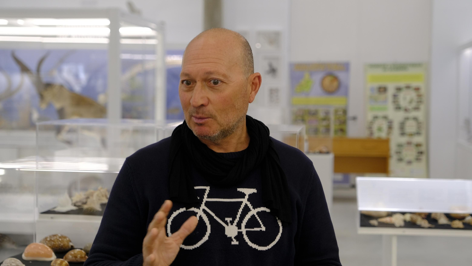 Descubre en estas fotos las maravillas que esconde el Pabellón de Historia Natural de la UAL