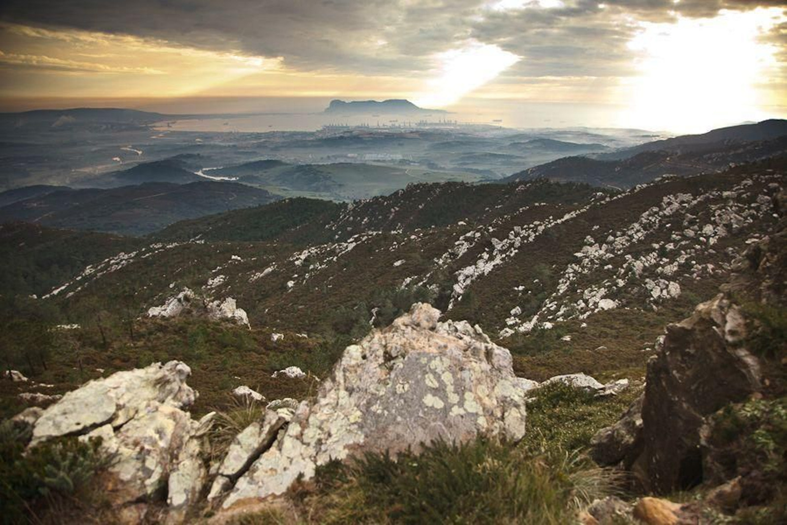 Herrizas en el Campo de Gibraltar