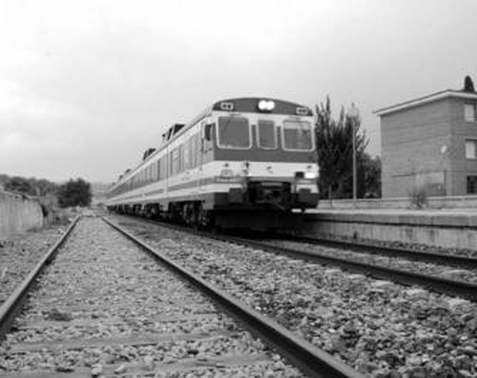El tren a su paso por el municipio pinero.