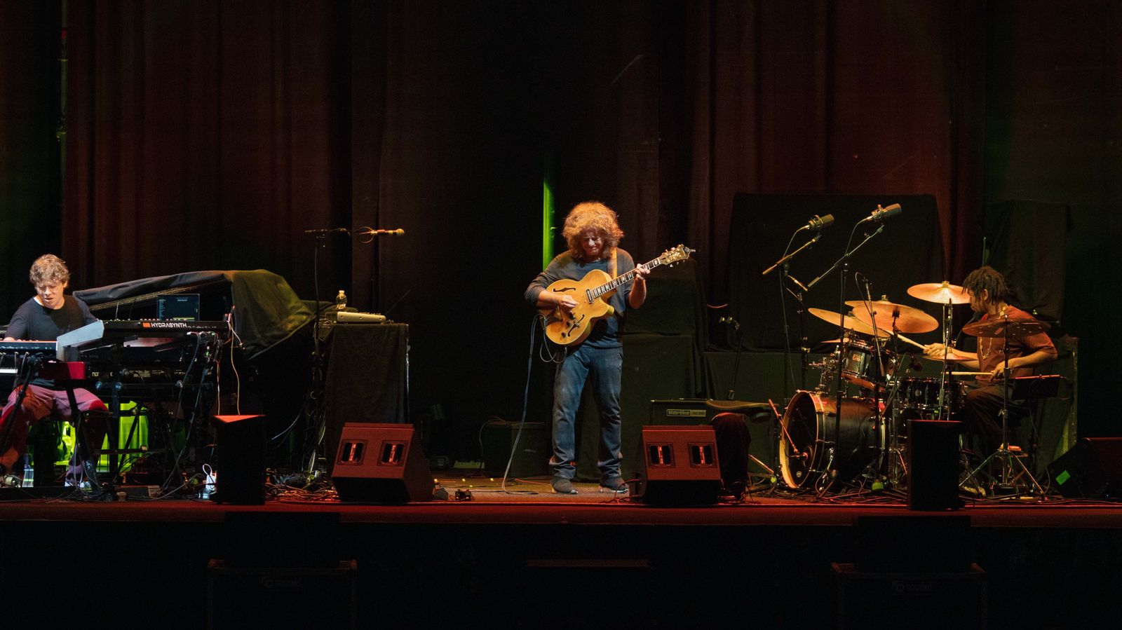 Concierto de Pat Metheny en Tío Pepe Festival