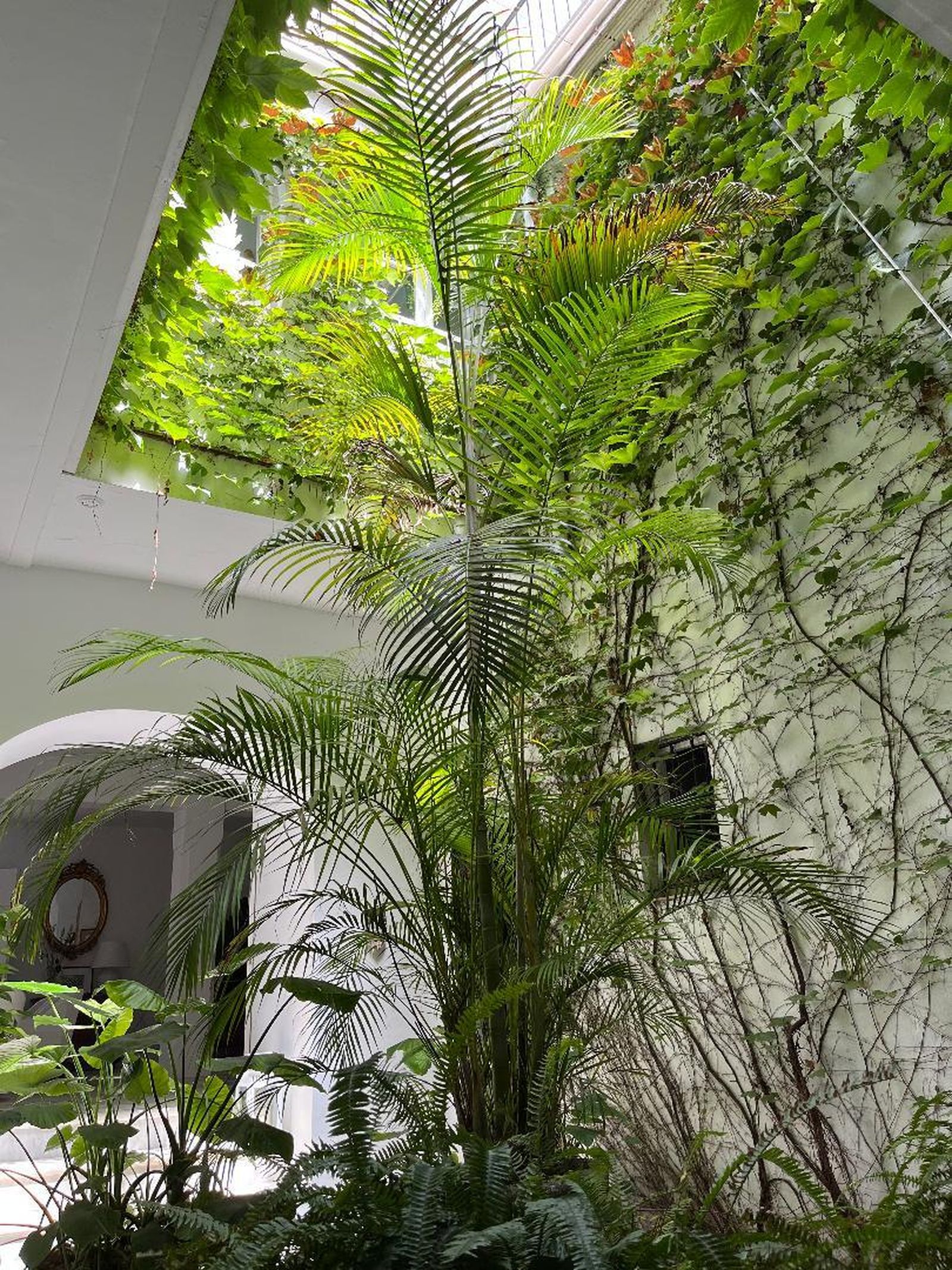 Así es el interior de la casa de Sanlúcar del matrimonio Angulo-Cuquerella