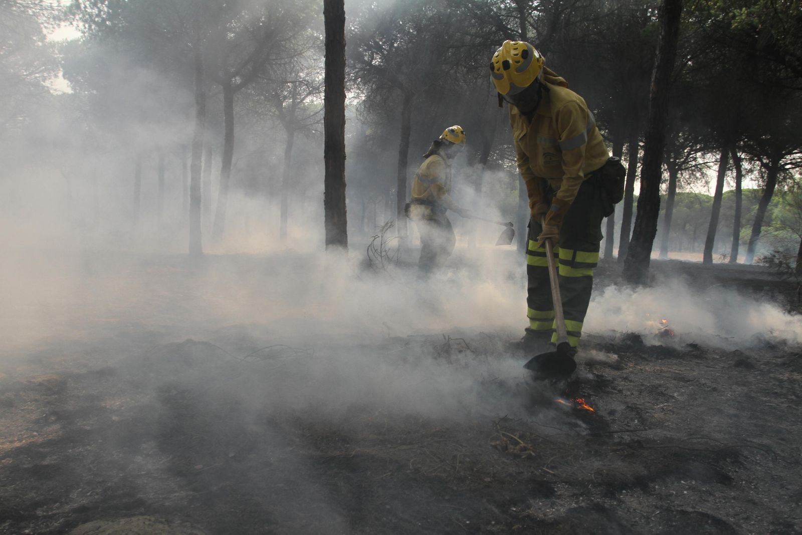 Las imágenes del incendio en Moguer y Mazagón