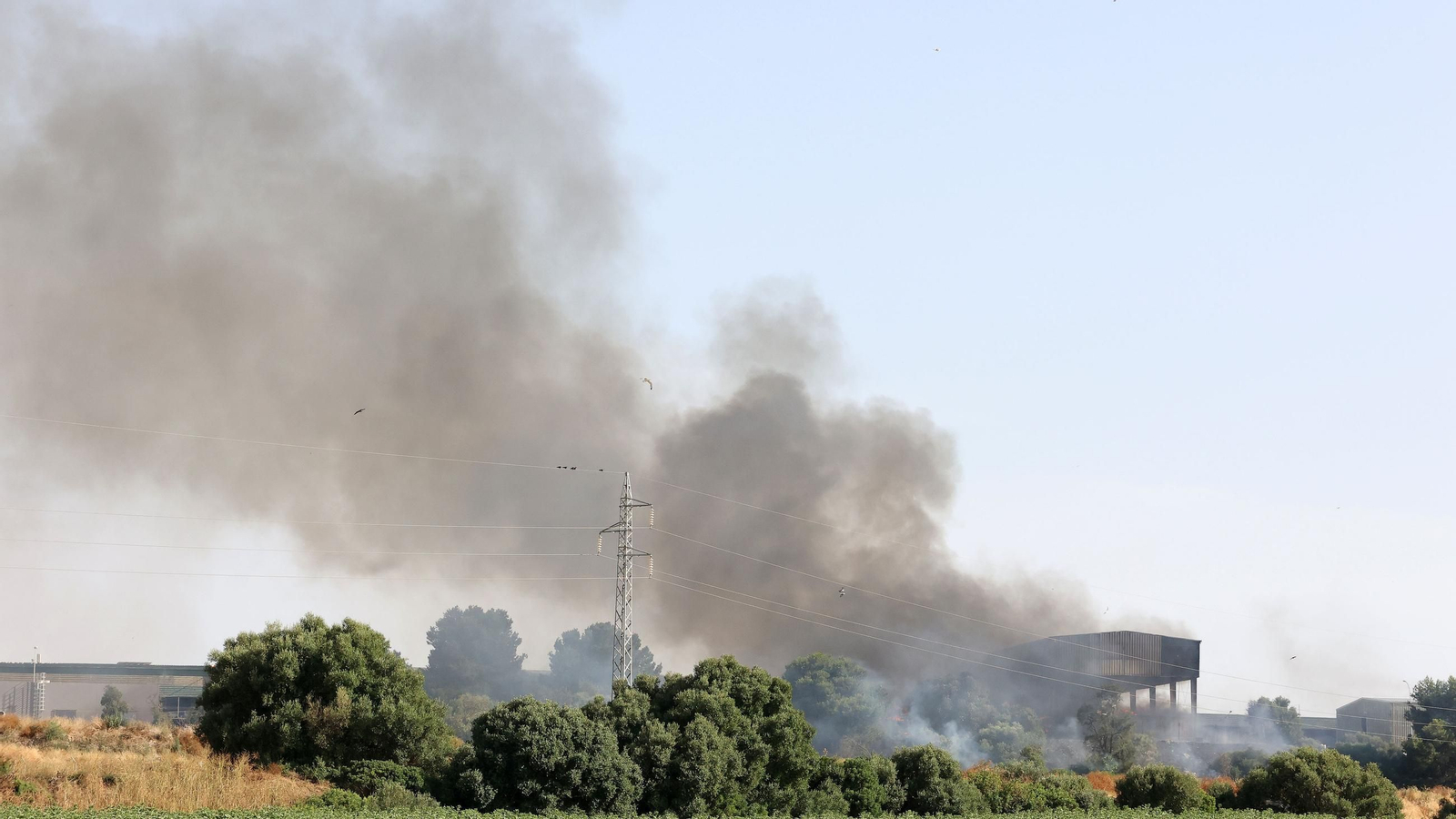 Imágenes del incendio en la planta de Las Calandrias en Jerez