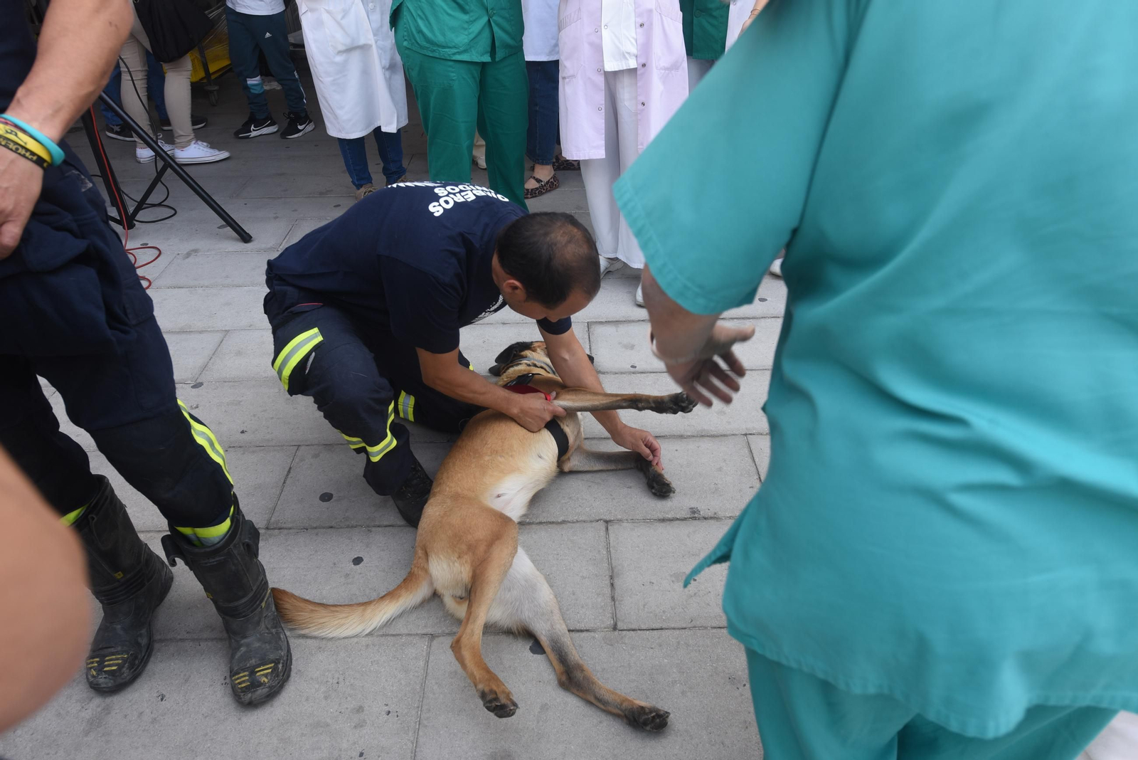 El Reina Sofía celebra el Día del Niño Hospitalizado con la visita de los bomberos, en imágenes