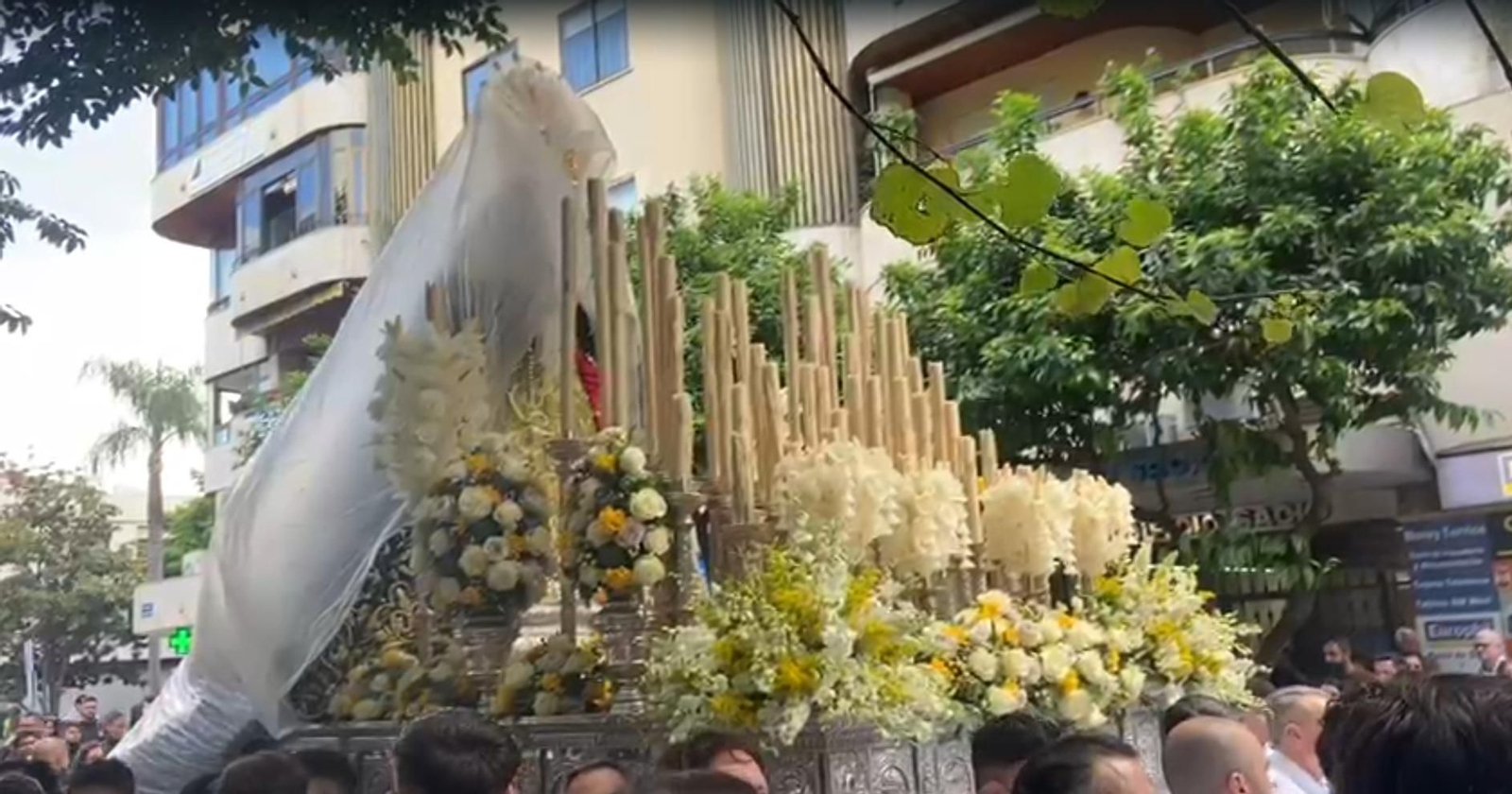 La Pollinica el Domingo de Ramos en Marbella, en imágenes