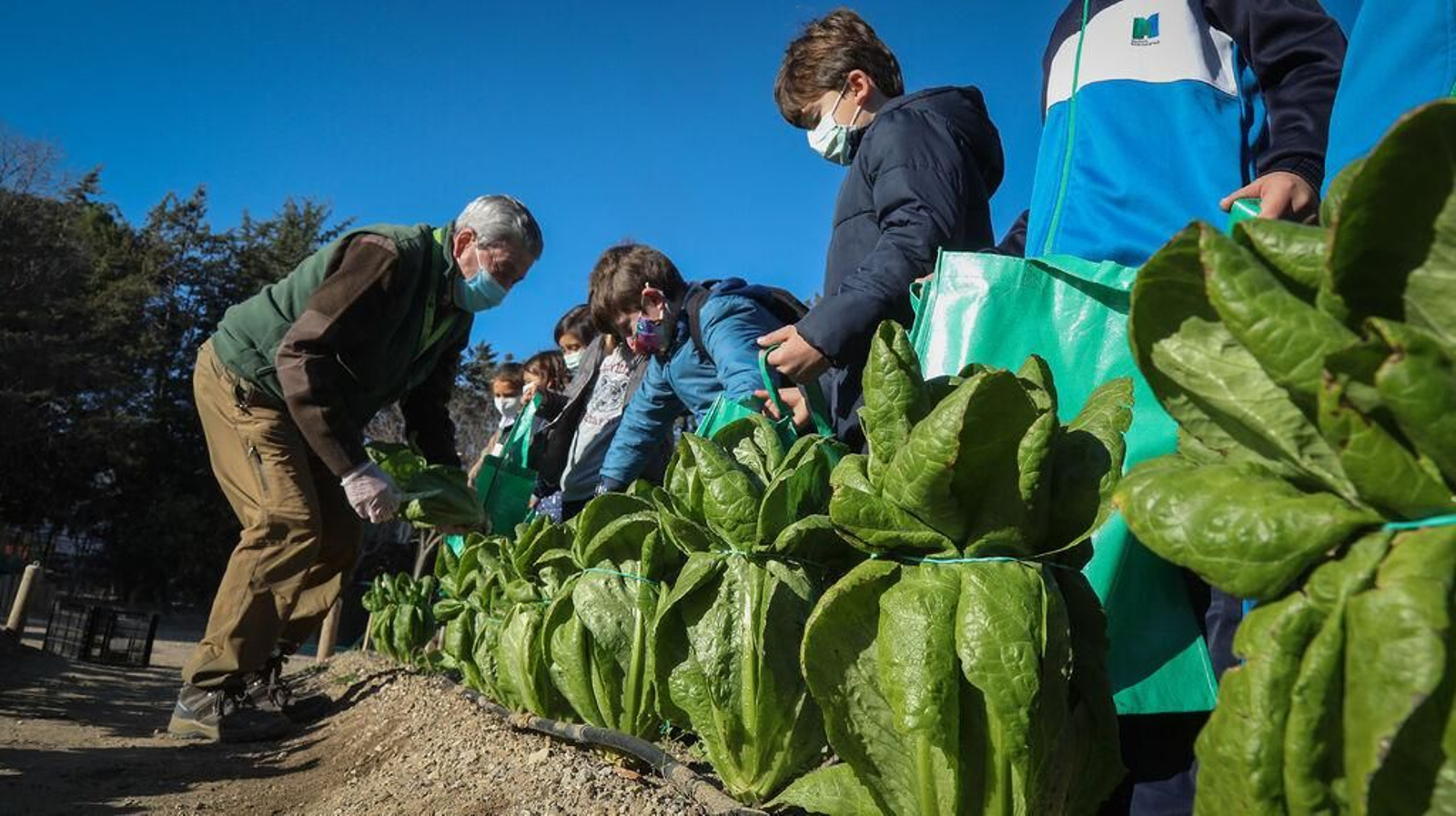 Huerto ecológico y educativo en Los Marianistas, en una imagen de archivo.