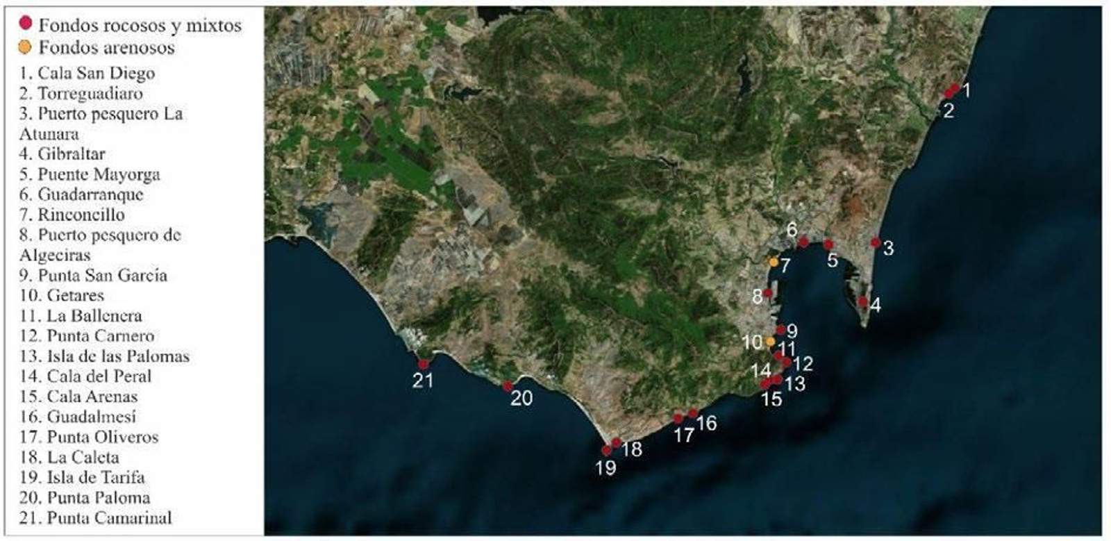 Mapa del Campo de Gibraltar con las zonas de muestreo.