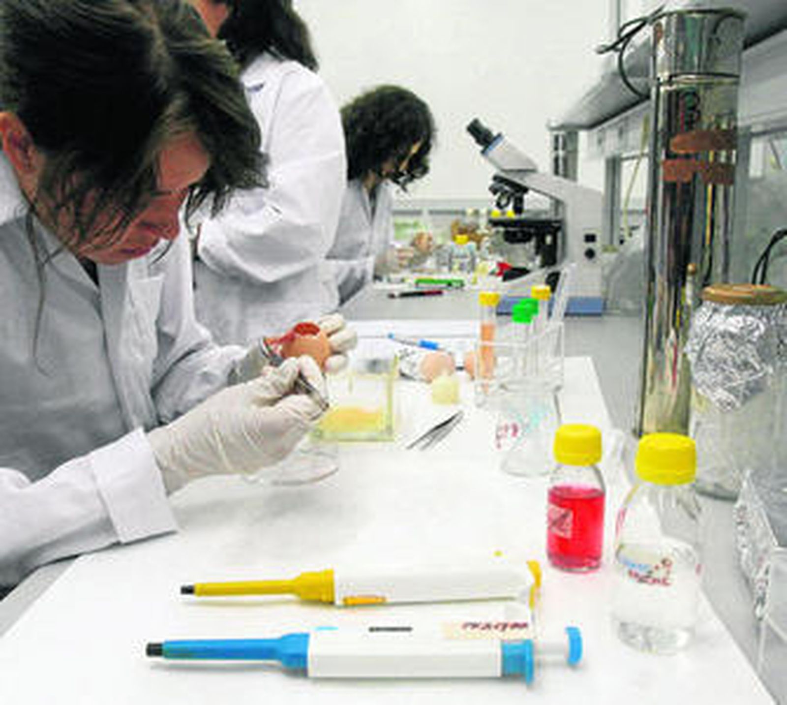 Alumnos de la UCO durante una clase práctica.