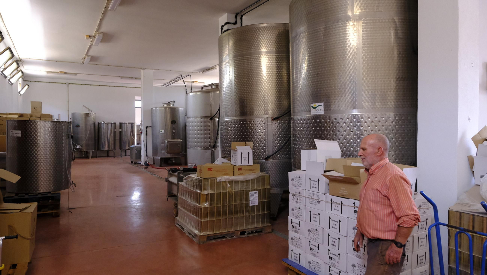 La vendimia en la Bodega Cortijo del Cura de Laujar, en imágenes