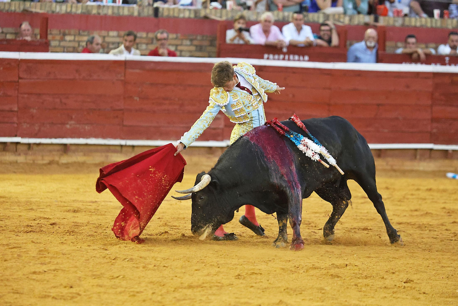 Toros La Merced 2024 Novillada con picadores(