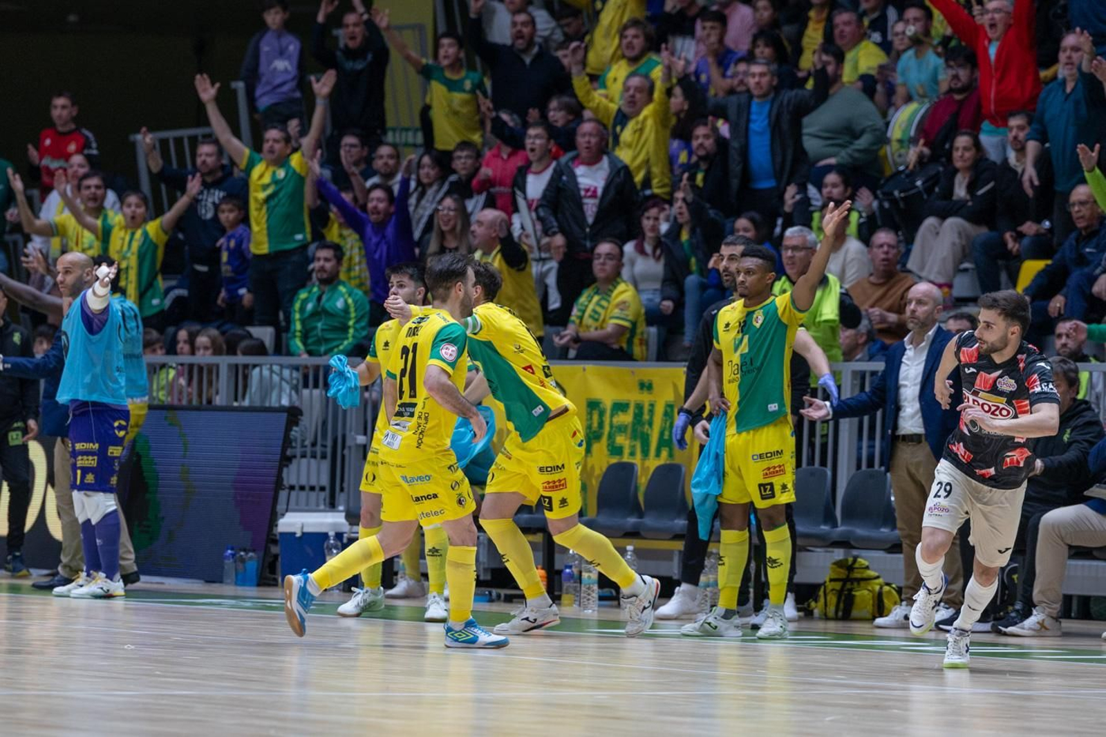 Las mejores fotos del empate entre Jaén Paraíso Interior FS y ElPozo Murcia