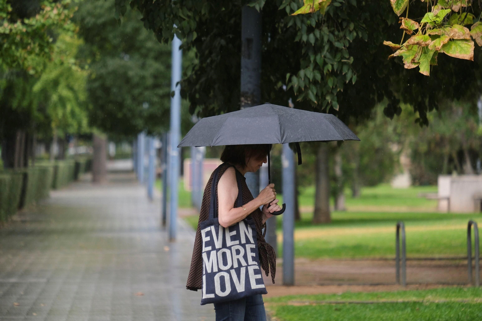 La lluvia regresa a Córdoba, en imágenes