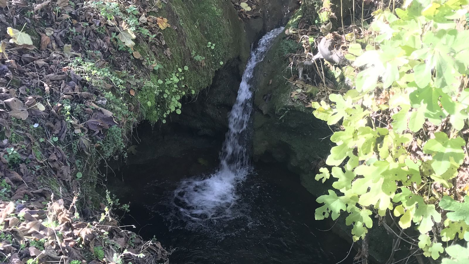 Cascada en el parque botánico Los Nogales de Puerto Moral