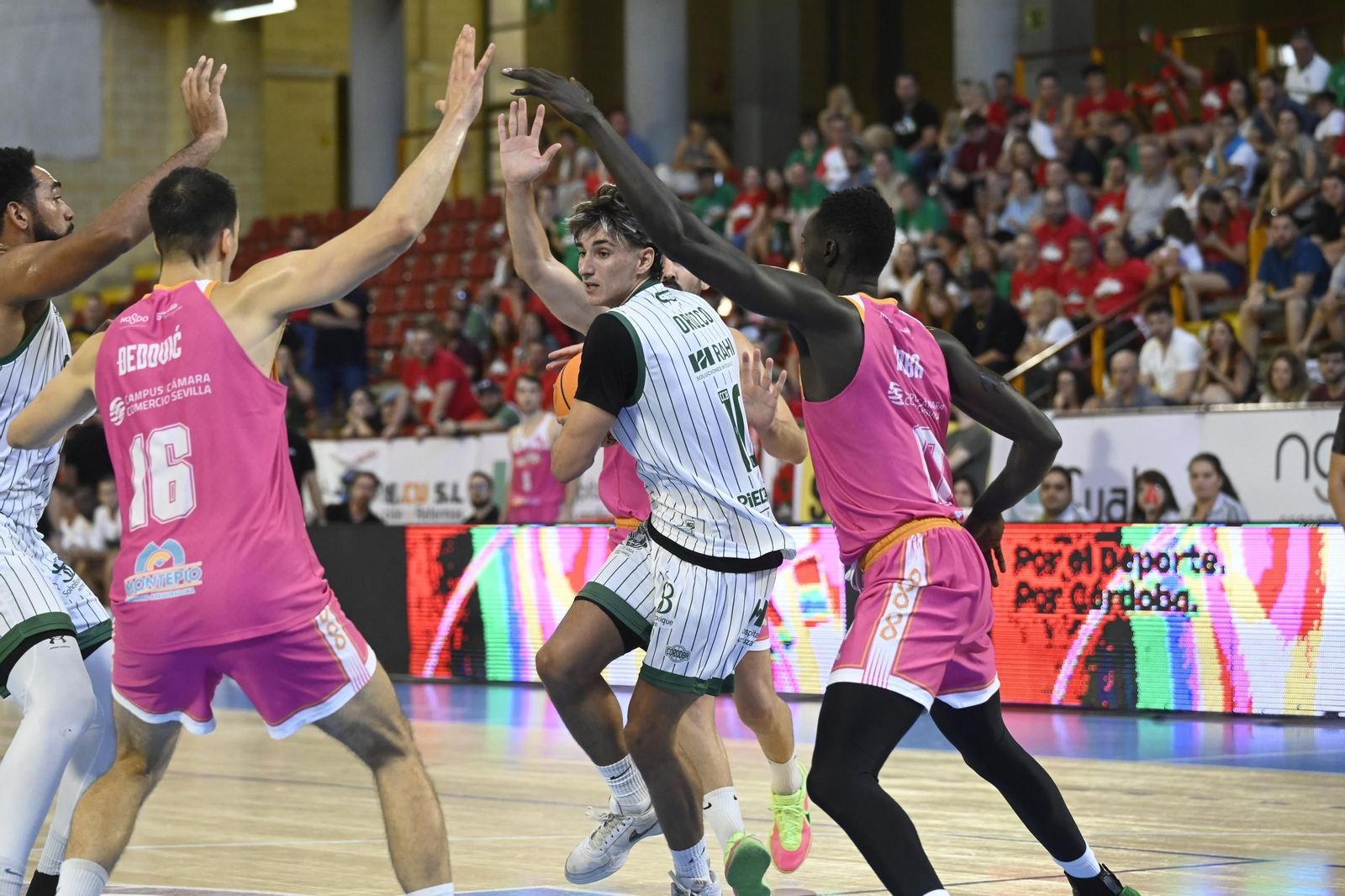 Las mejores fotos del Coto Córdoba - Caja 87 de la Copa de España en Vista Alegre
