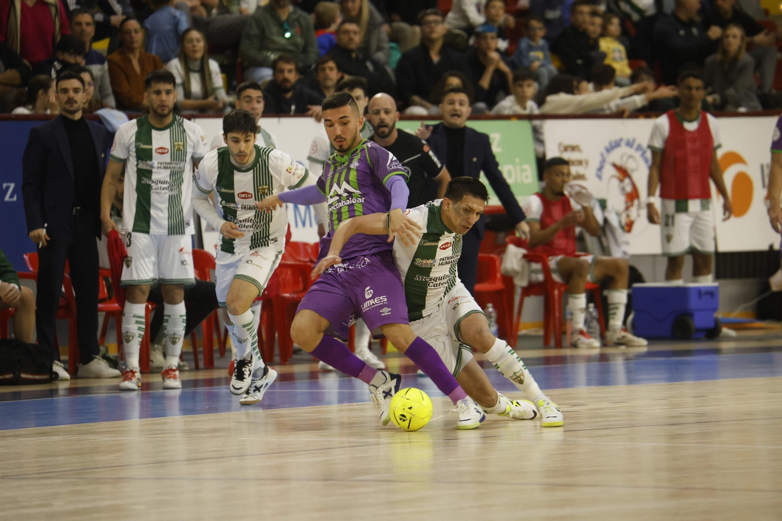 Las mejores fotos del ambiente en Vista Alegre para el Córdoba Futsal - Palma.
