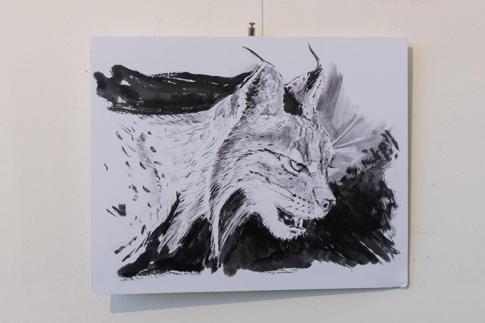 Exposición Los pinceles del lince ibérico, en imágenes