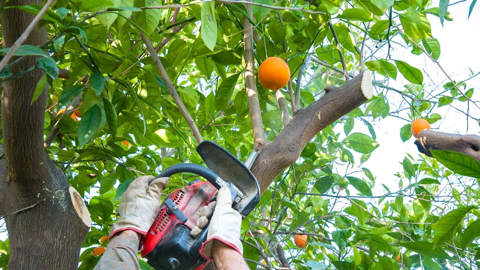 30 personas podrán optar a este trabajo indefinido con sueldos de hasta 1600 euros