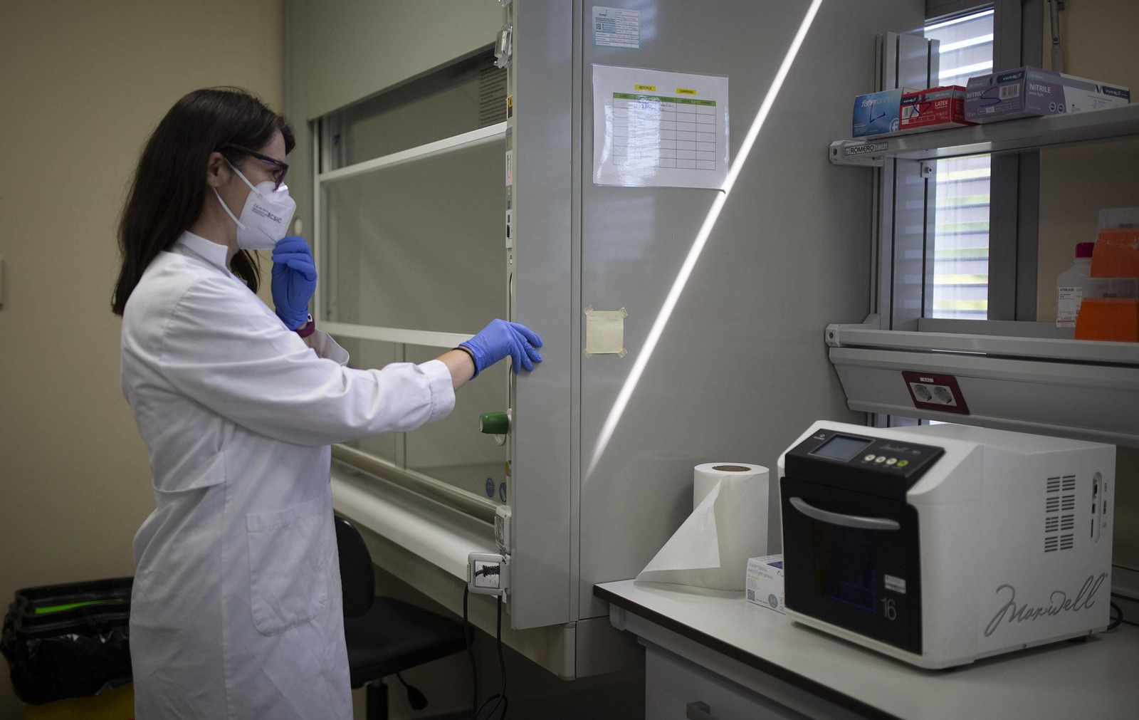 Una científica estudia el virus del Nilo en un laboratorio.