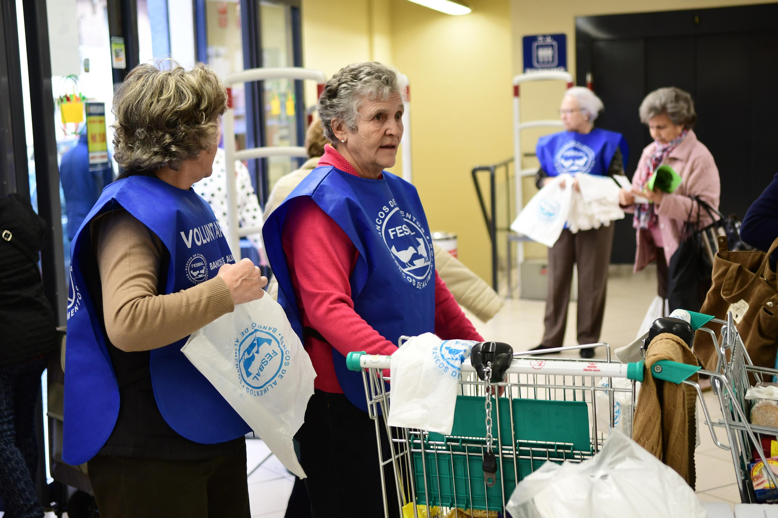 La Gran Recogida del Banco de Alimentos en Córdoba, en imágenes