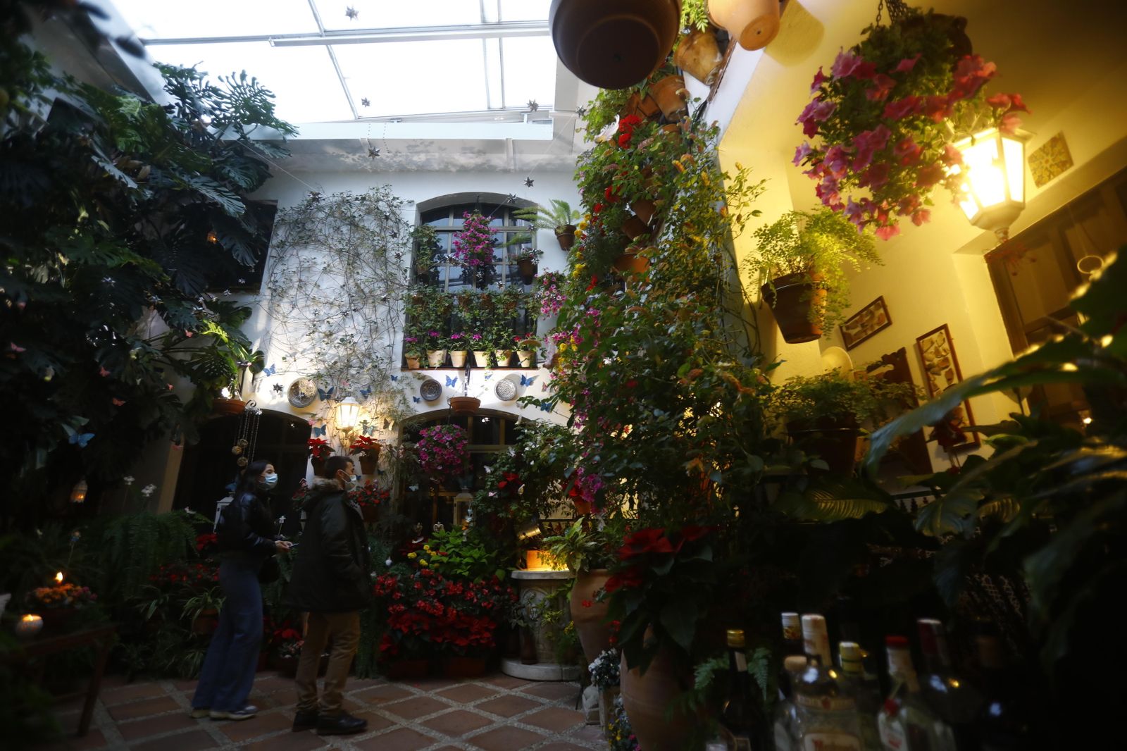 Las fotografías de los Patios de Córdoba en Navidad