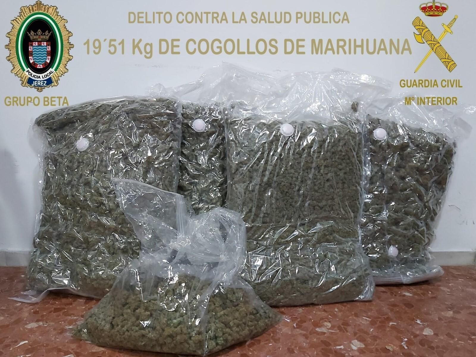 Imagen de los cogollos de marihuana intervenidos.