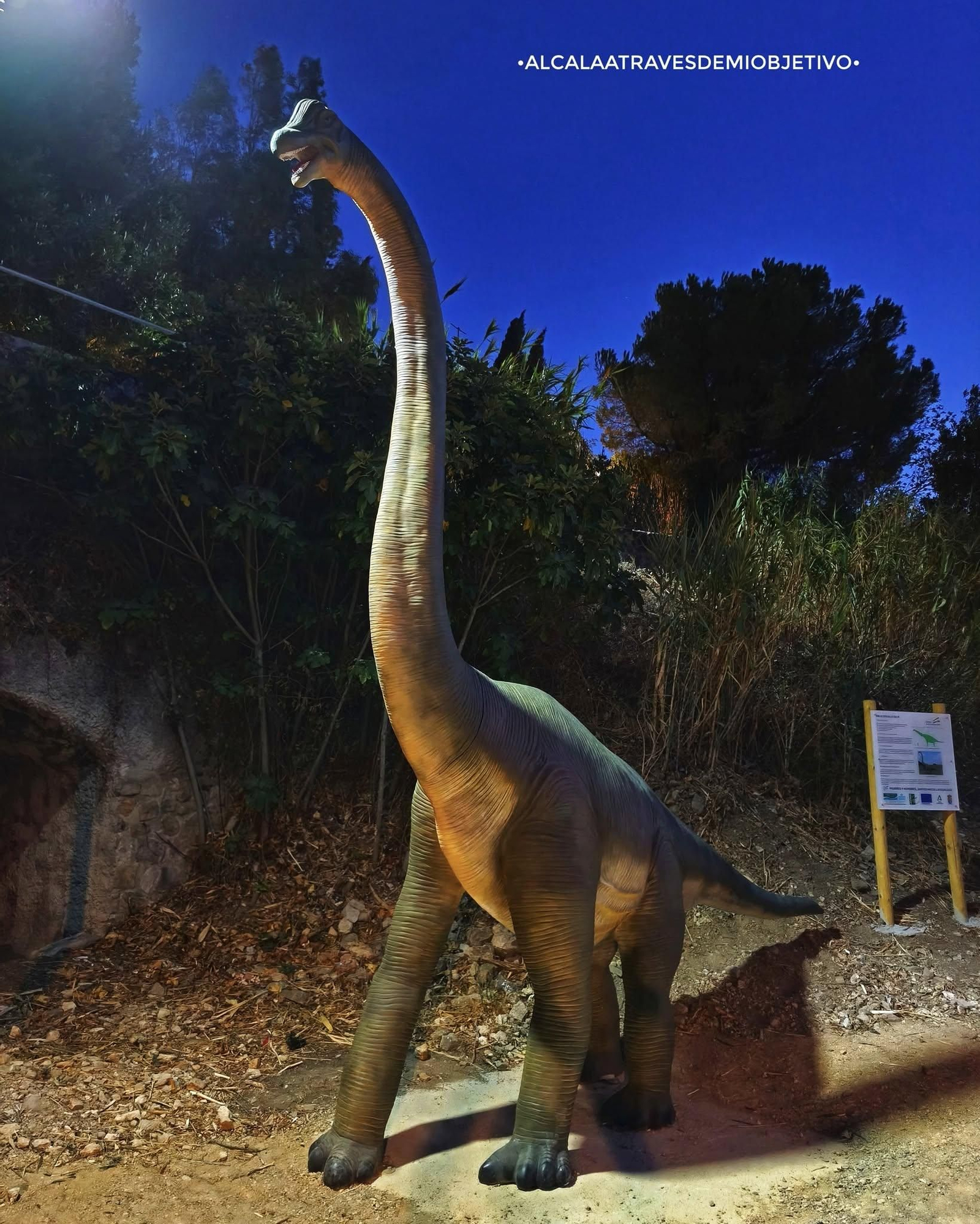 Dinosaurios en Alcalá de los Gazules