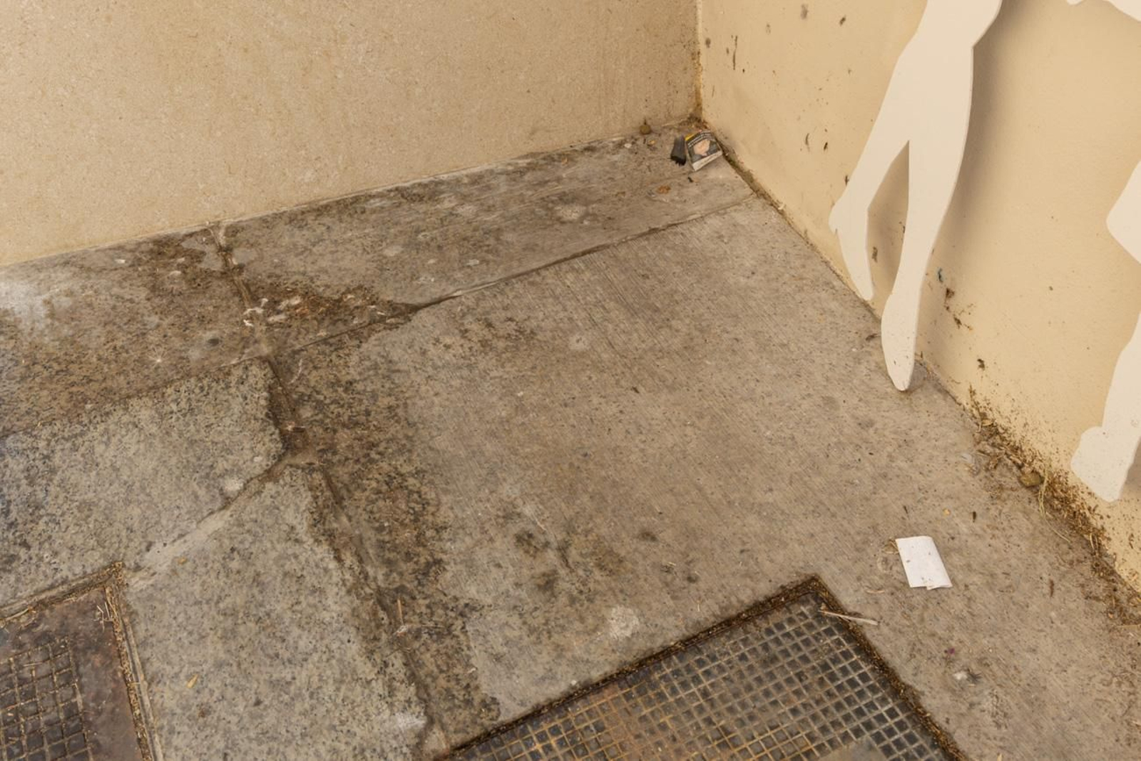 Suciedad y hierbajos toman el entorno de la Catedral de Jaén