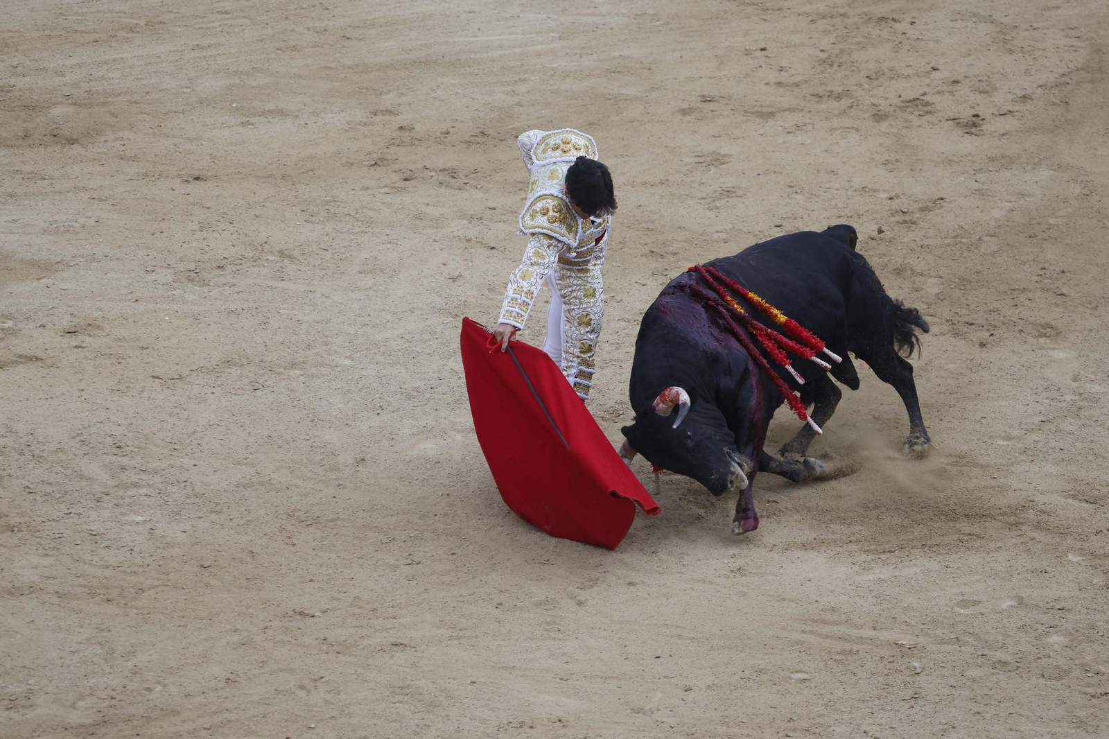 Las fotos de la corrida de toros de Lagunajanda para Manuel Escribano, David Galán y Pepe Moral en Tarifa