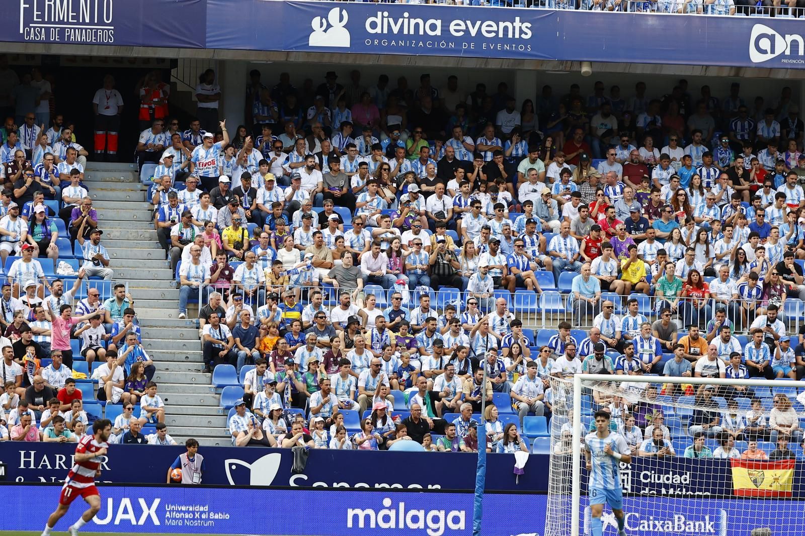 Búscate en el Málaga CF - Granada en las gradas de La Rosaleda