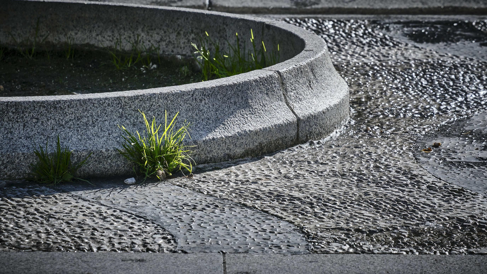 Pavimento en plaza San Juan de Dios