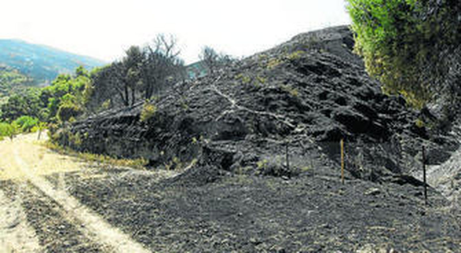 Un rito seudorreligioso, causa del incendio forestal de Cenes de la Vega