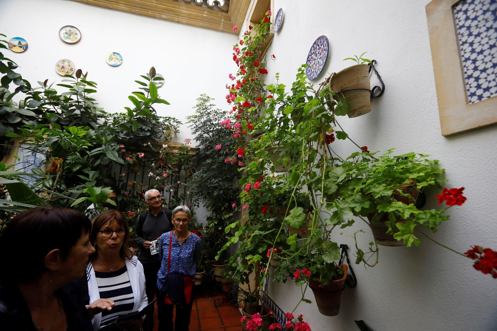 Los patios de Córdoba de la ruta Judería-San Francisco, en imágenes