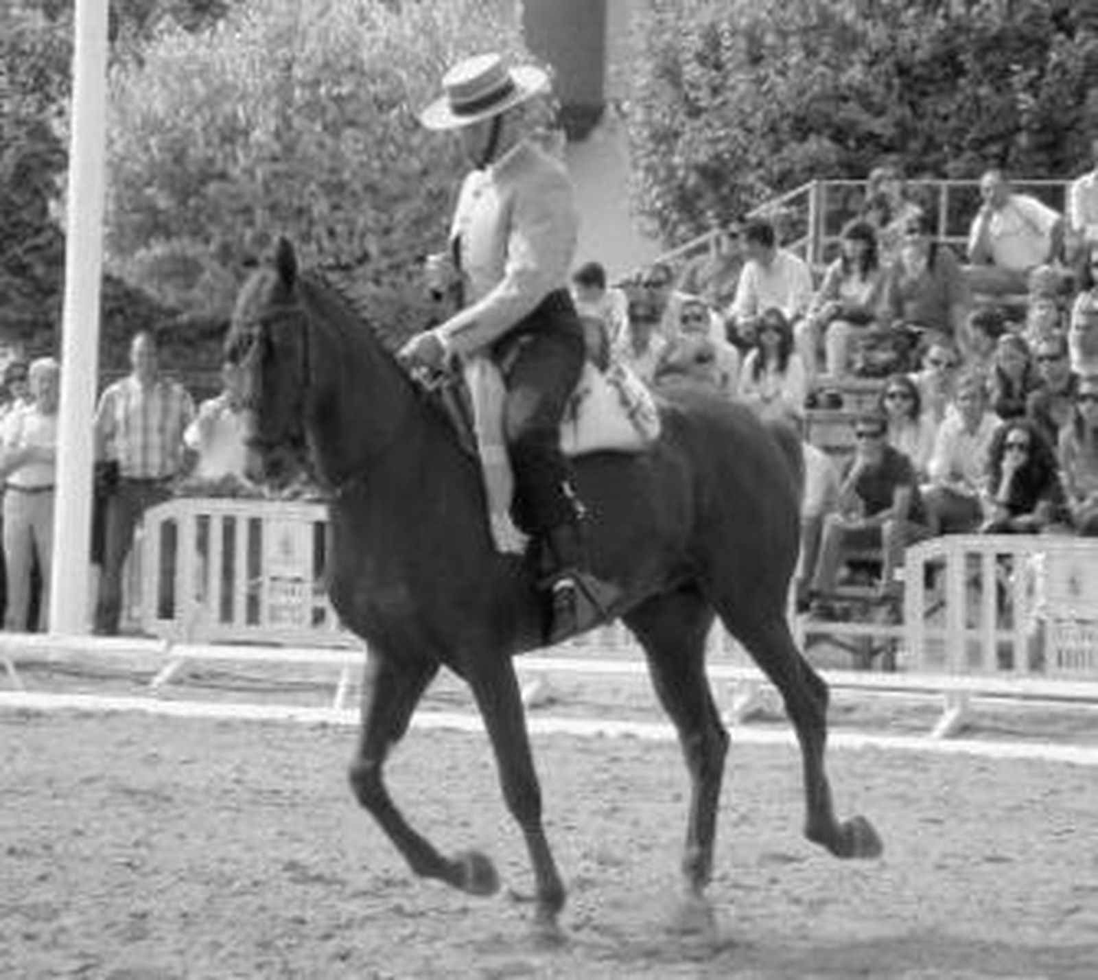Gonzalo Corrales, montando a Lotocán, ganó el concurso de El Rocío.