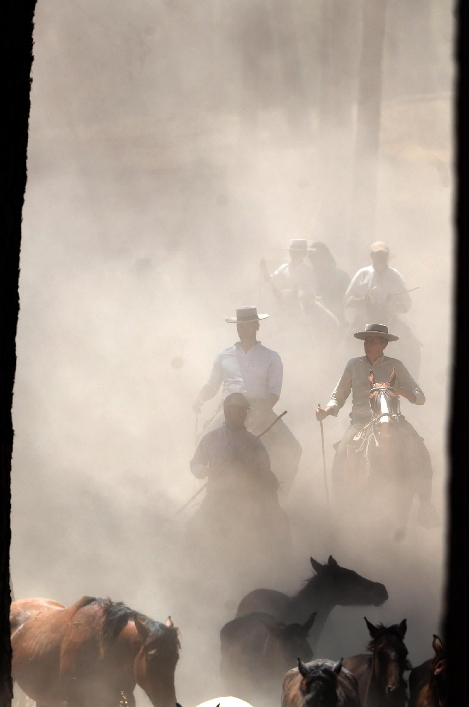 Las mejores imágenes de la Saca de las Yeguas 2025