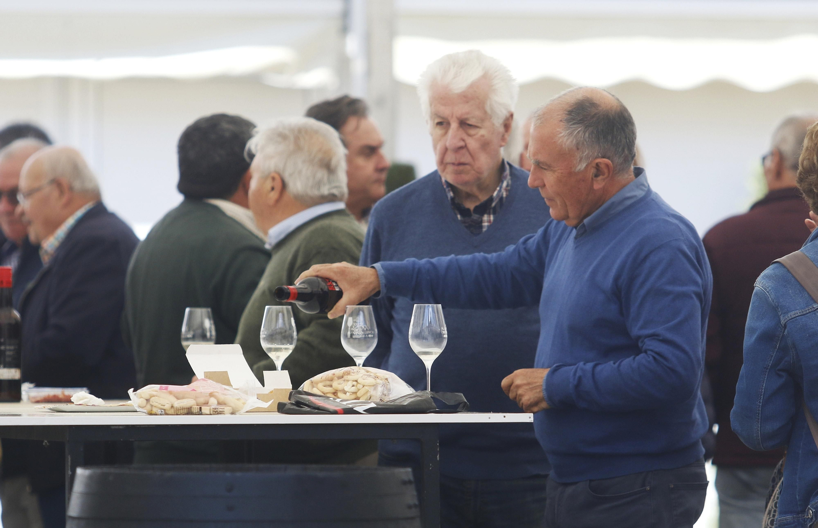 Las imágenes del segundo día de la Cata del Vino en Córdoba