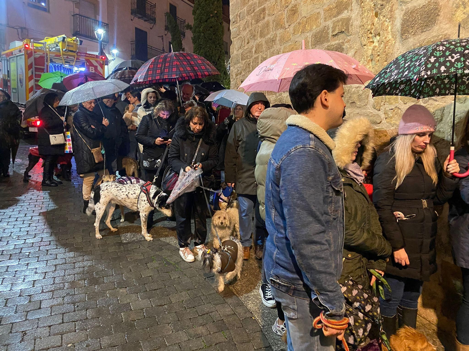 Lumbre de San Antón y bendición de los animales.