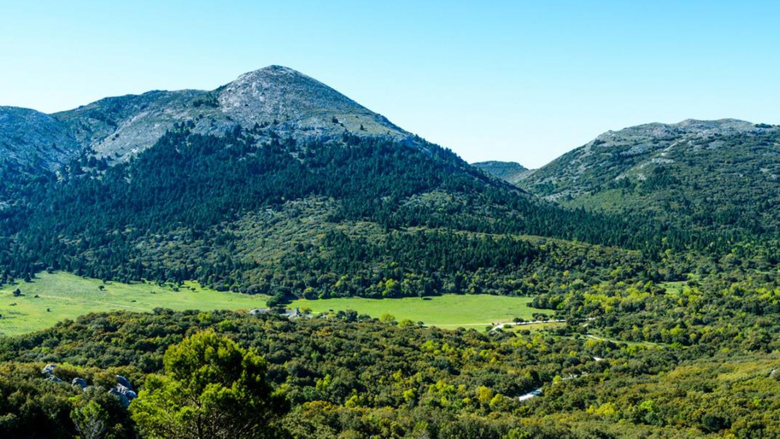 Paraje Natural Sierra de las Nieves. Paraje Natural Sierra de las Nieves.