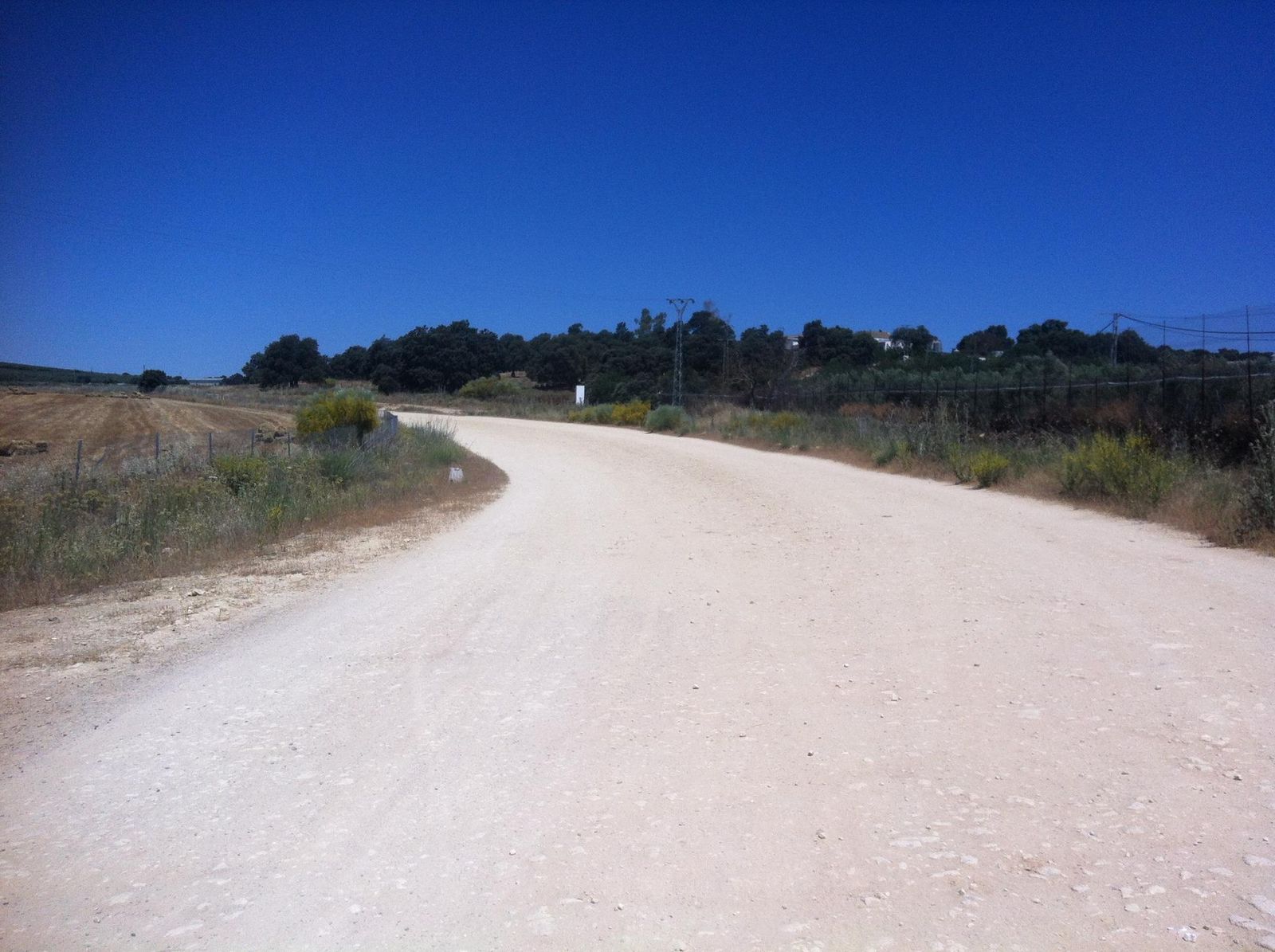 Zona próxima al emplazamiento elegido para el aeródromo.