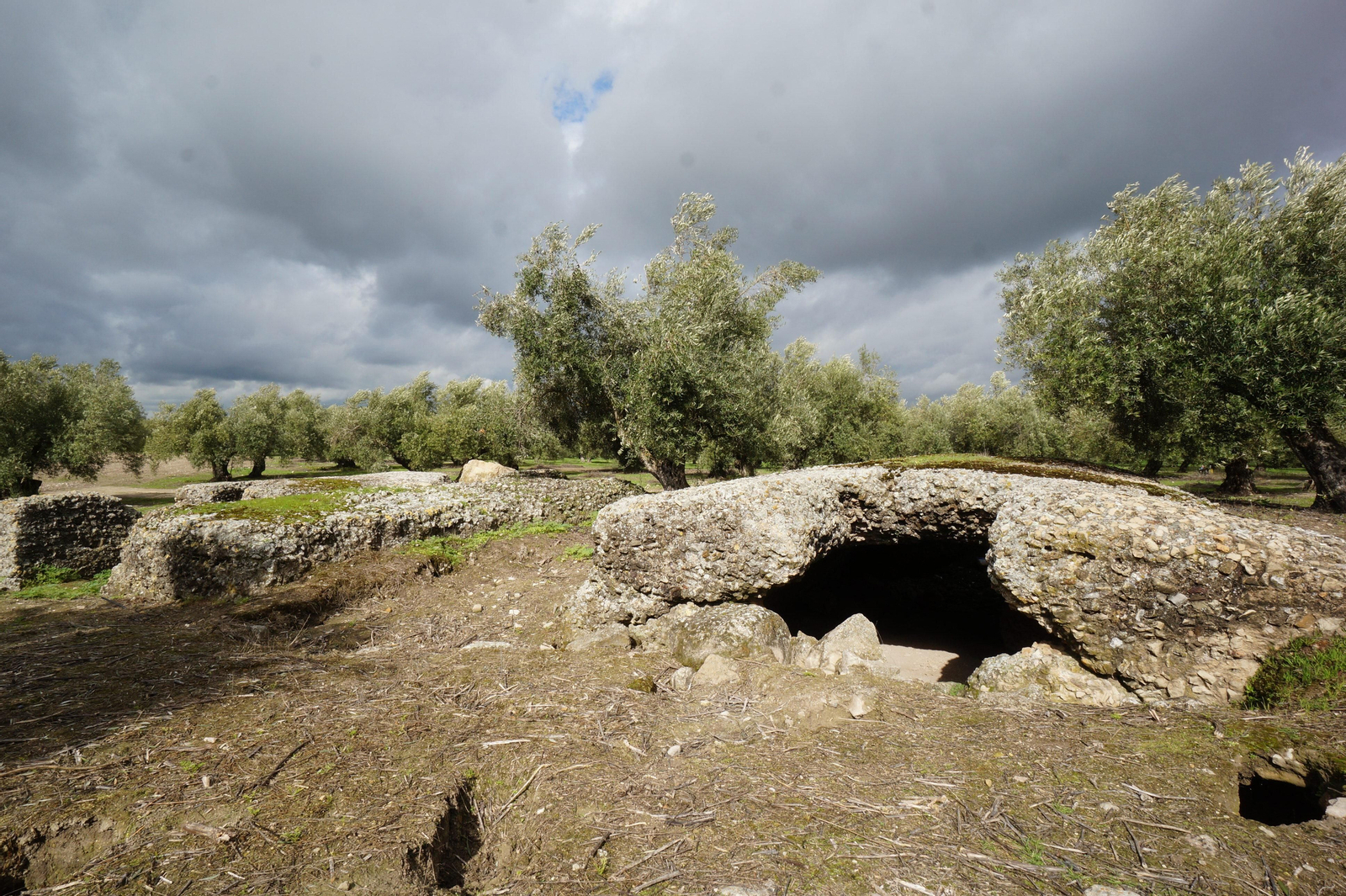 Los silos romanos del Carchena en Castro del Río, en fotografías