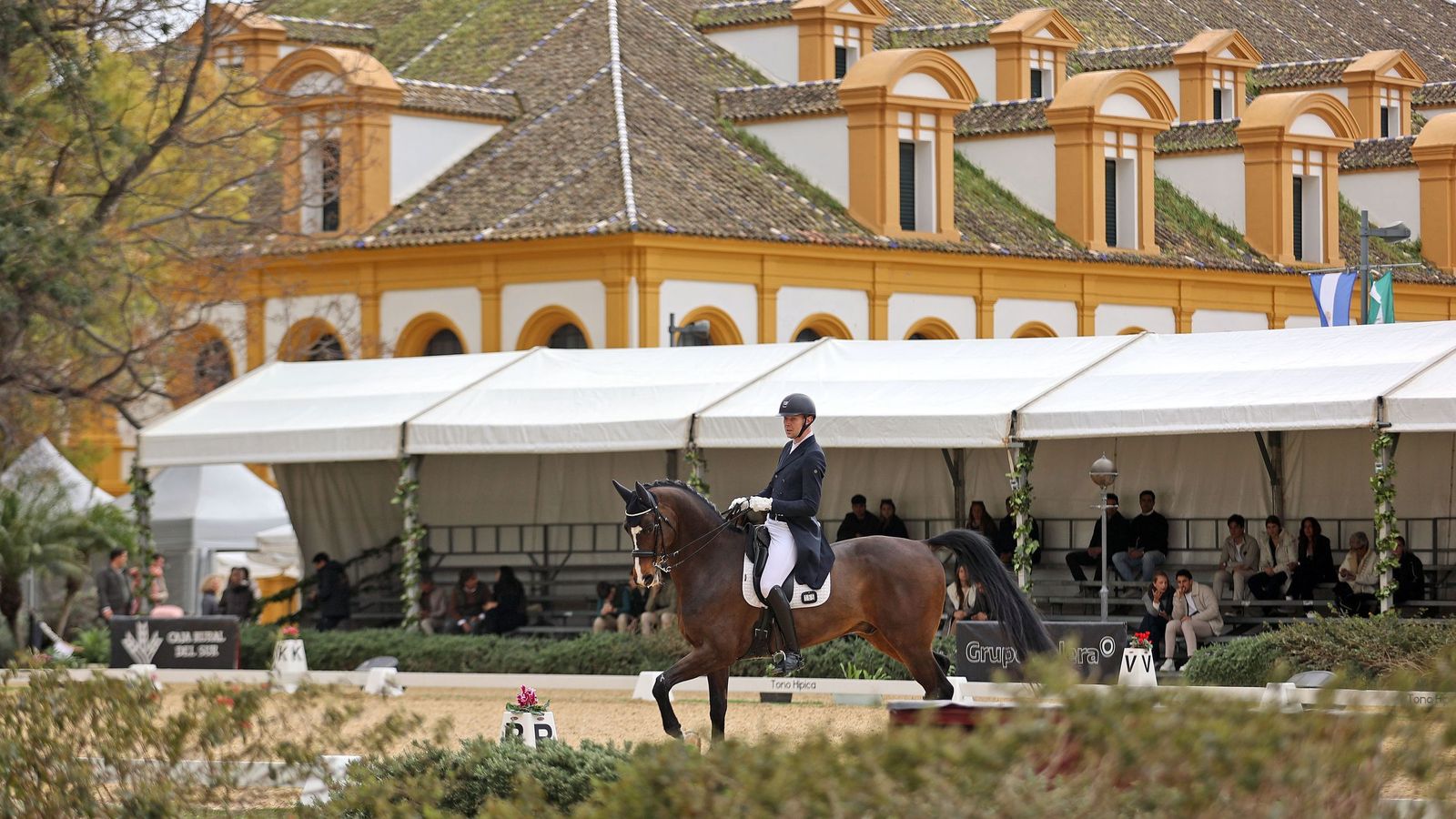 Concurso Internacional de Doma Clásica en La Real Escuela de Jerez