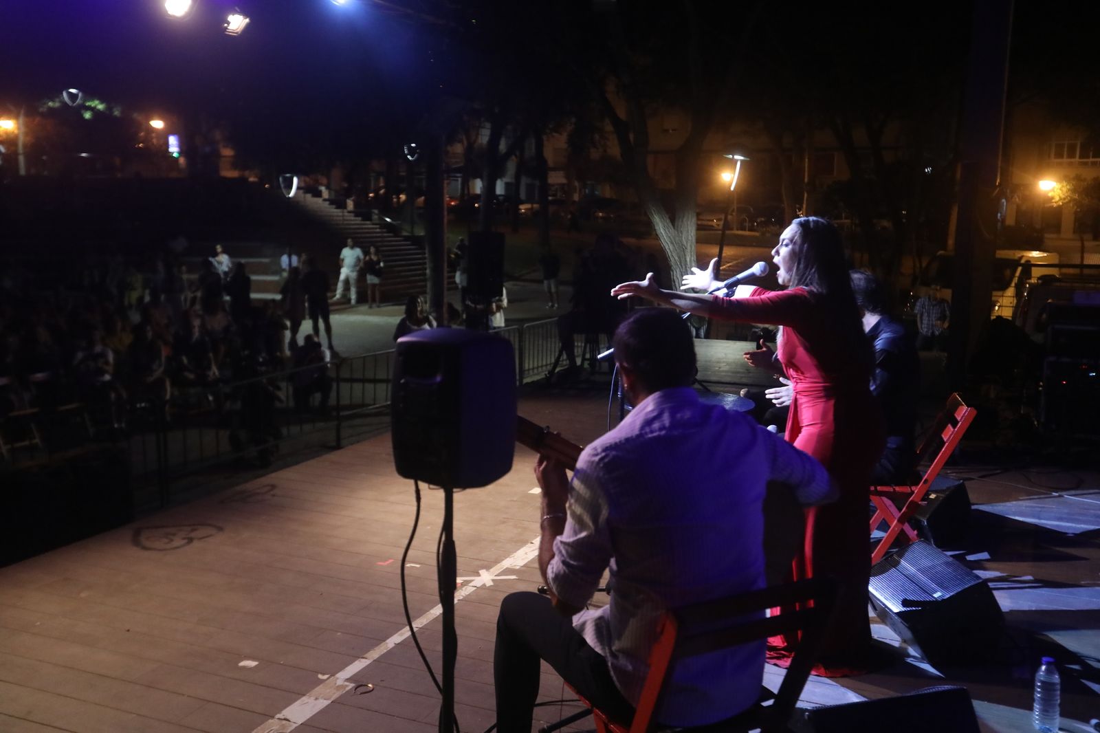 La noche flamenca en el Parque de San Fernando, en imágenes