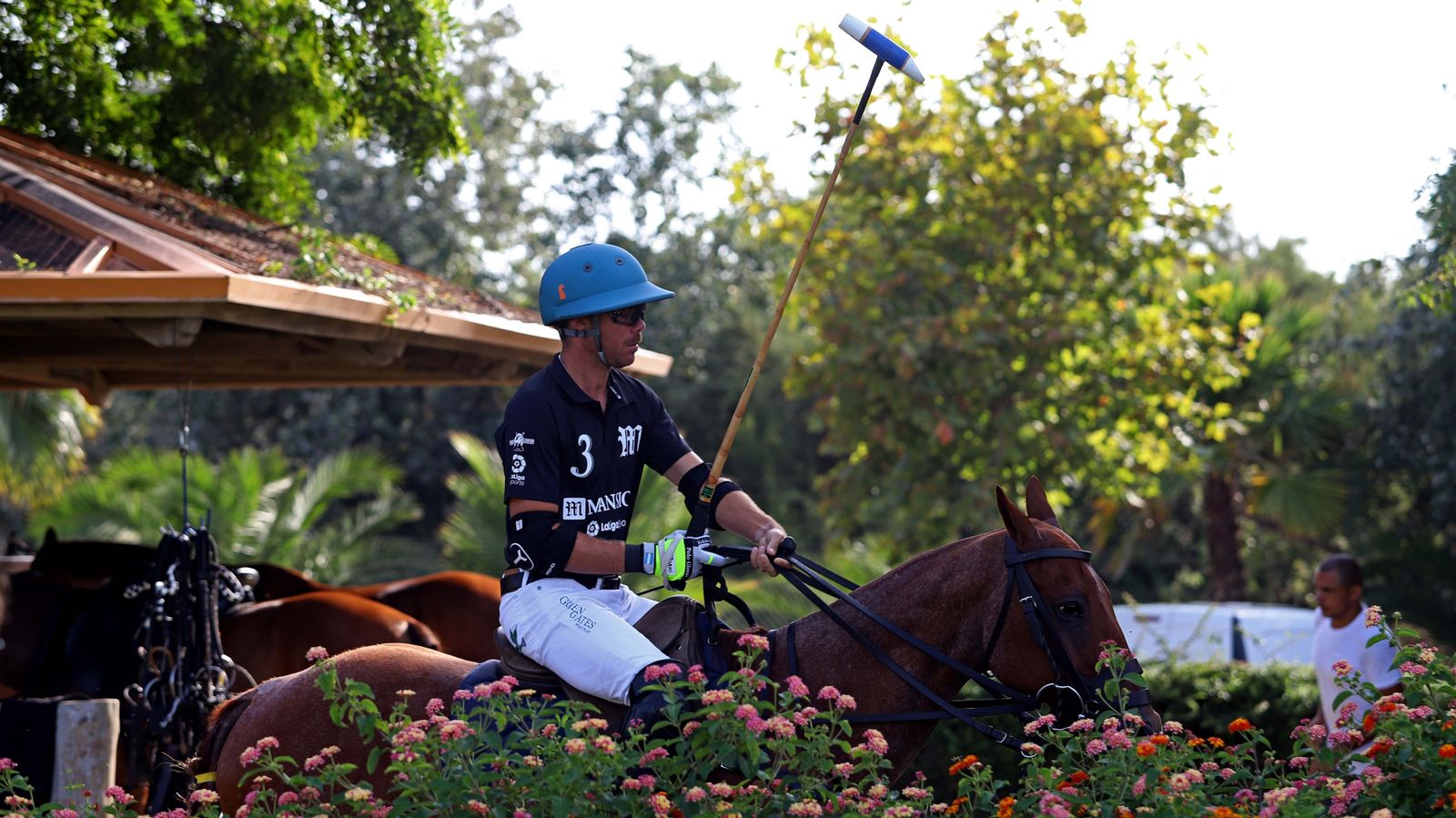 El polo desde dentro