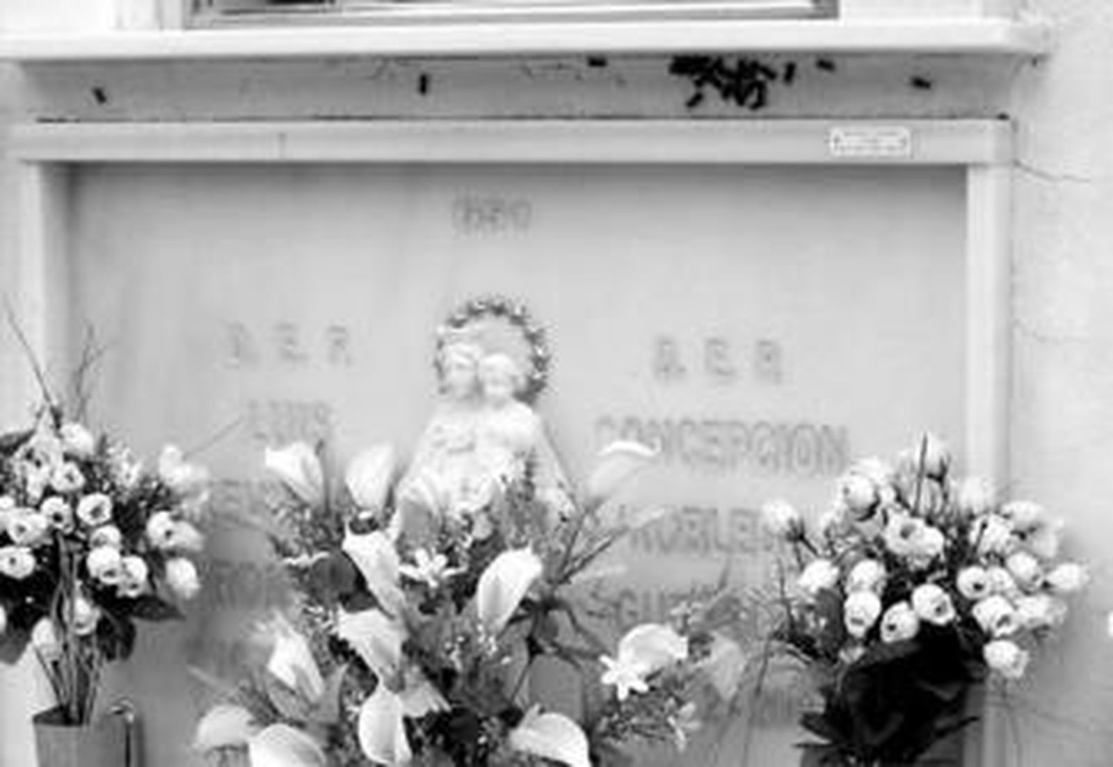 Decenas de avispas se posan sobre una de las lápidas del cementerio de Ronda.